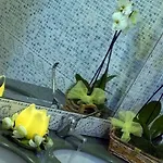 Hotel Terme Teresa 3*