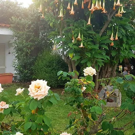 Terme Teresa 3*