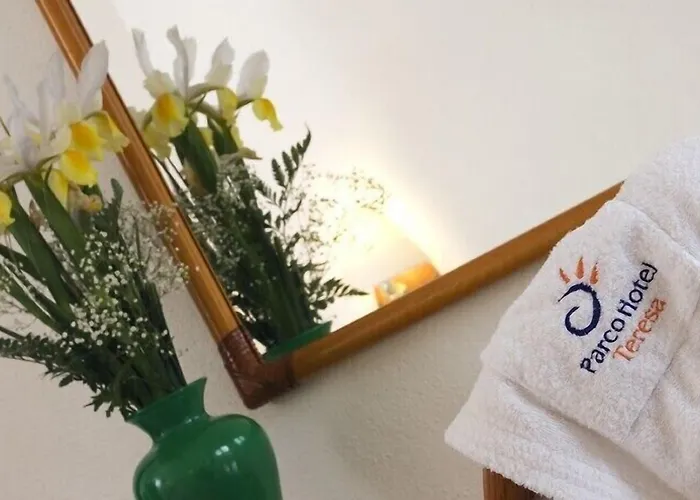 Отель Terme Teresa Форио